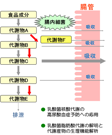 ティクス プロ バイオ